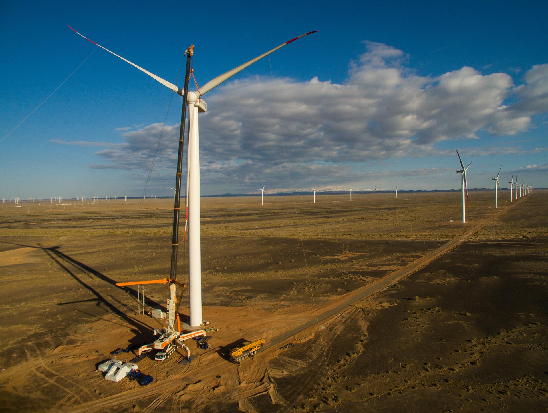 老子有钱lzyq88沉科