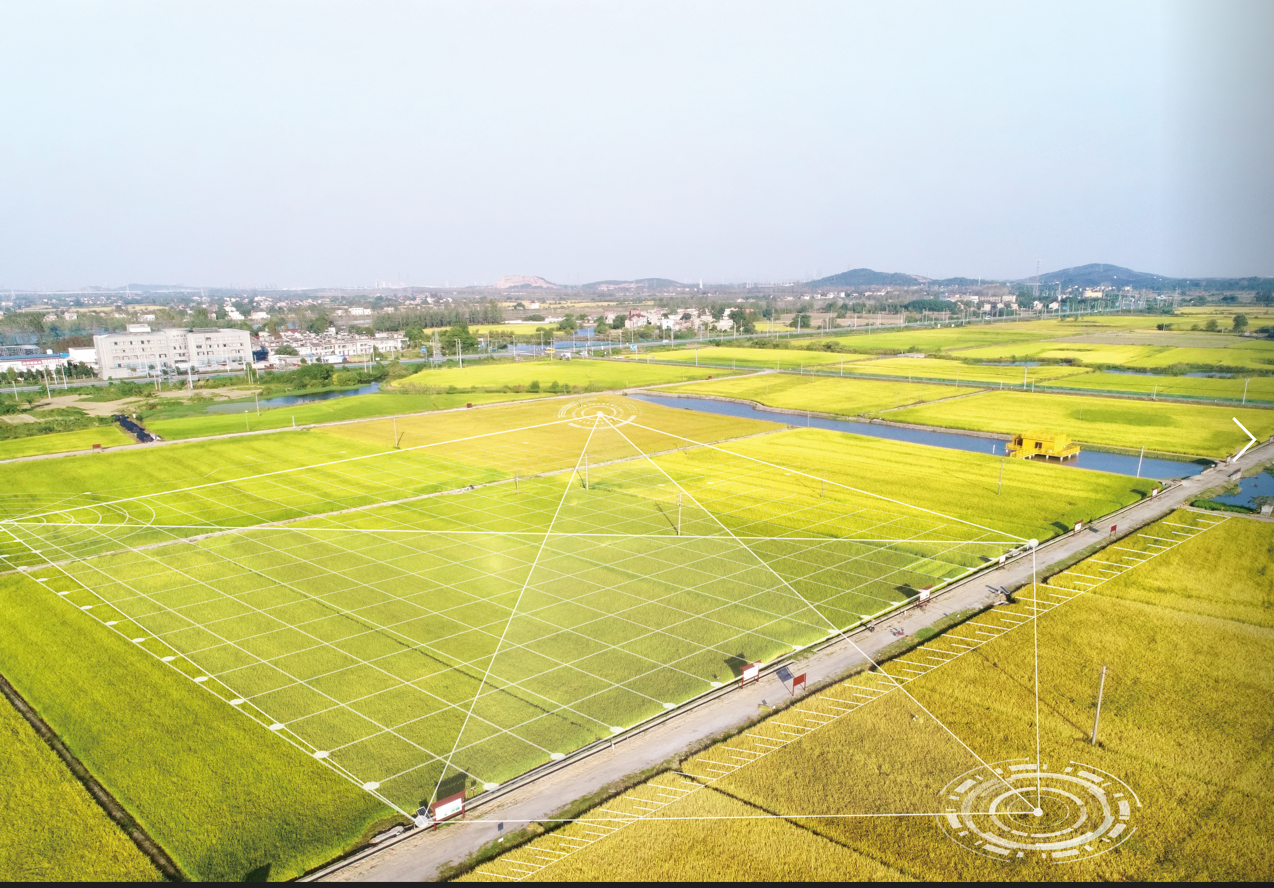 老子有钱lzyq88(中国)有限公司