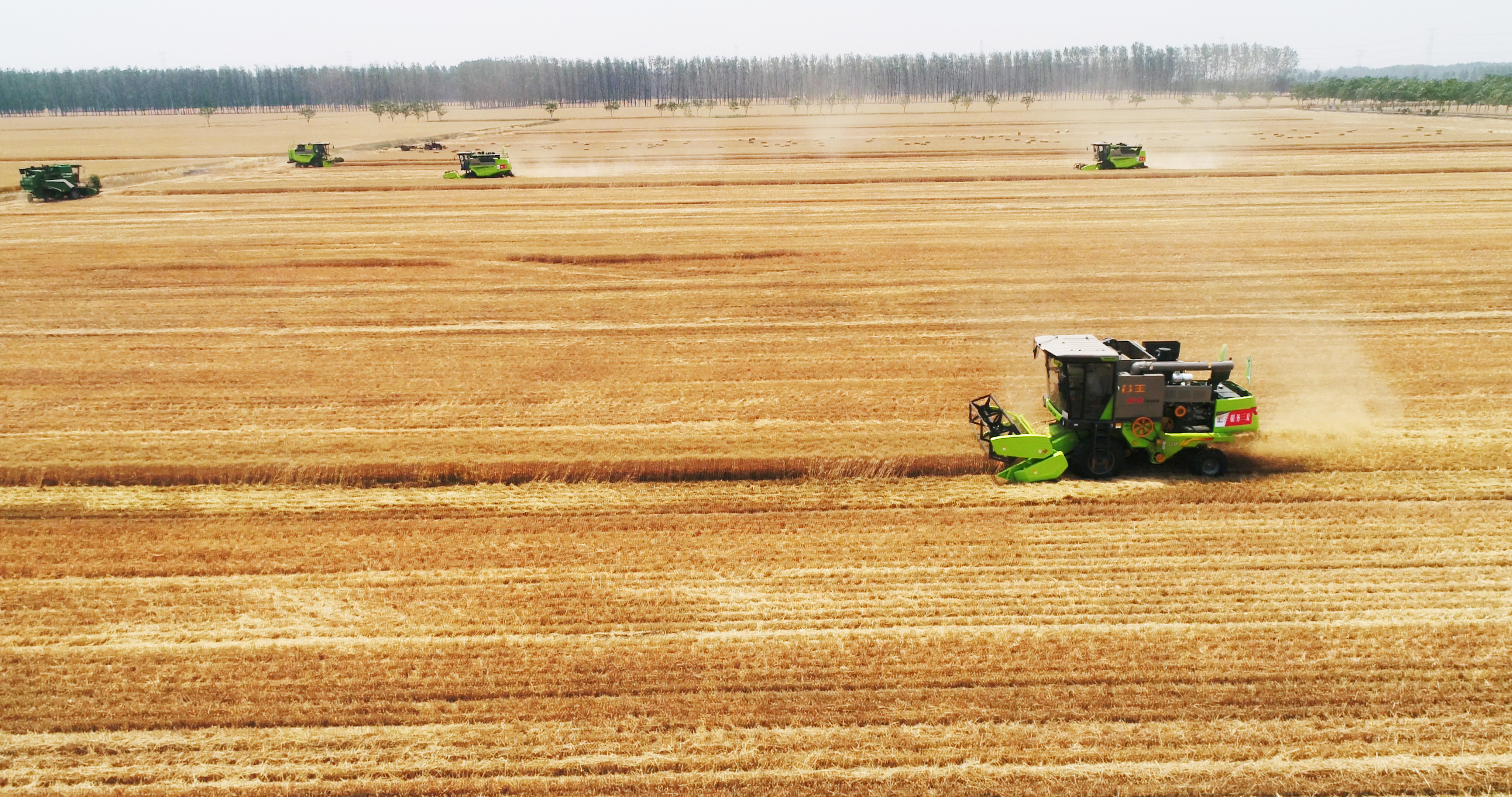 老子有钱lzyq88(中国)有限公司