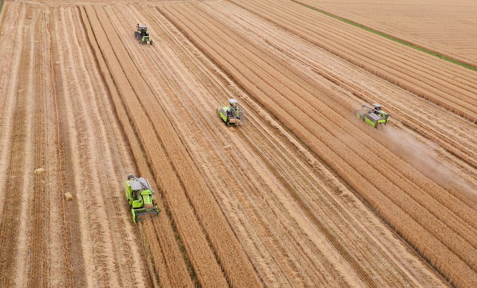 老子有钱lzyq88(中国)有限公司