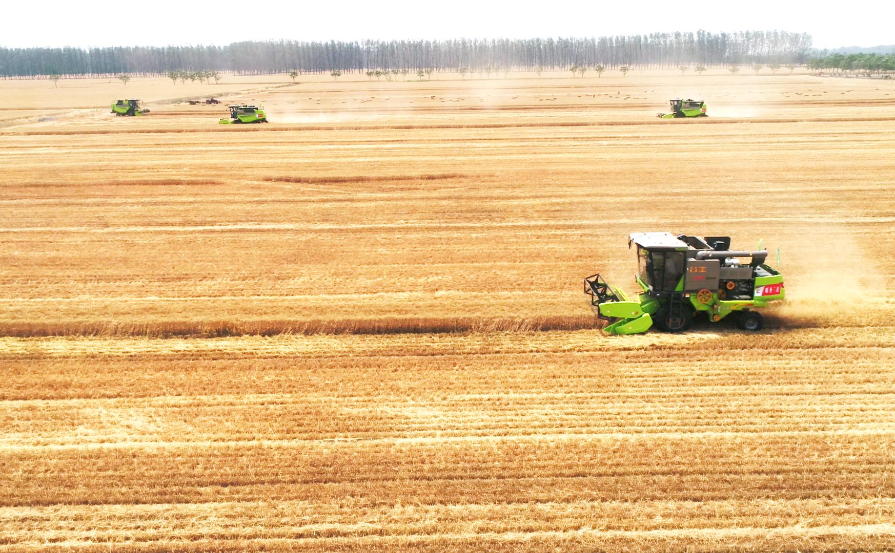 老子有钱lzyq88(中国)有限公司